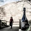 LE VIGNE DI ALICE - P.S. Integrale Metodo Ancestrale Brut Nature 0,75 l