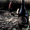 LE VIGNE DI ALICE - P.S. Integrale Metodo Ancestrale Brut Nature 0,75 l