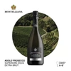 MONTELLIANA - Asolo Prosecco Superiore DOCG Extra Brut 0,75 l