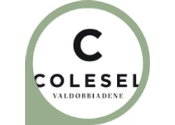 Colesel