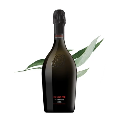 Mas De Fer Rive di Soligo Prosecco Valdobbiadene DOCG Extra Dry