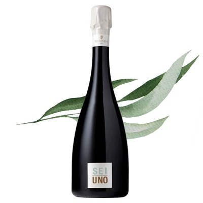 Sei Uno Rive di Carpesica Valdobbiadene Prosecco Superiore DOCG Extra Brut
