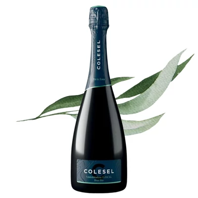 Pal de Testa Bio Valdobbiadene Prosecco Superiore DOCG Brut