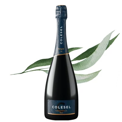 Pentagono 69 Cartizze Brut