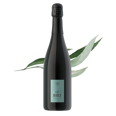 BRTN Sui Lieviti Valdobbiadene Prosecco Superiore DOCG Brut Nature