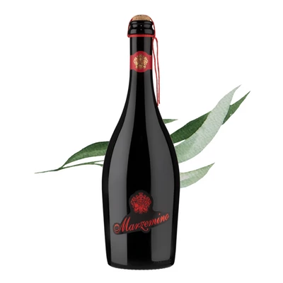 Marzemino IGT Veneto Frizzante Spago