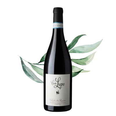 Casa Lupo Valpolicella Superiore Ripasso Doc