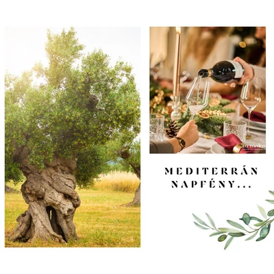2025.11.22 - Mediterrán napfény... olívaolaj &amp;amp; prosecco kóstoló (17:00-21:00)