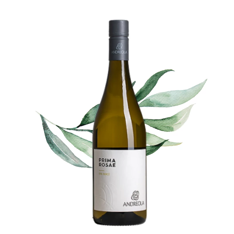 Andreola - Prima Rosae Bianco