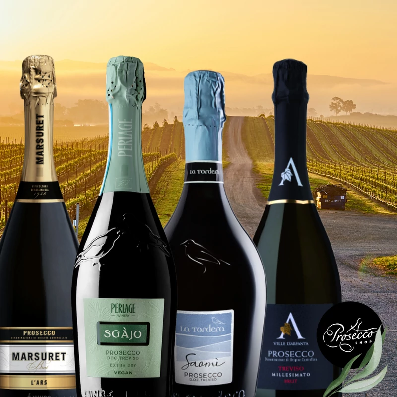 "Treviso" Válogatás