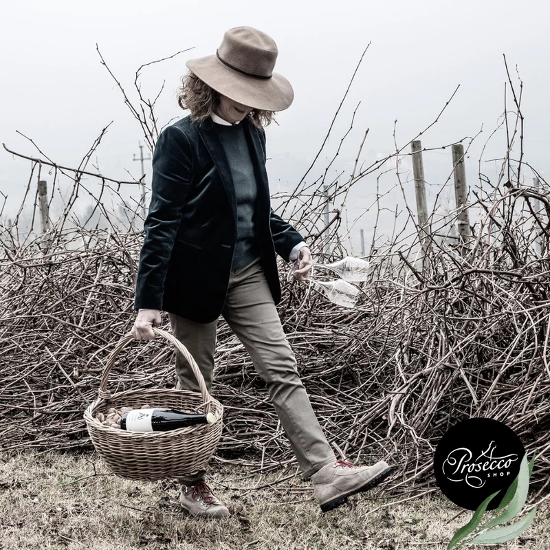 LE VIGNE DI ALICE - 