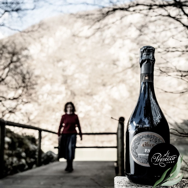 LE VIGNE DI ALICE - P.S. Integrale Metodo Ancestrale Brut Nature 0,75 l