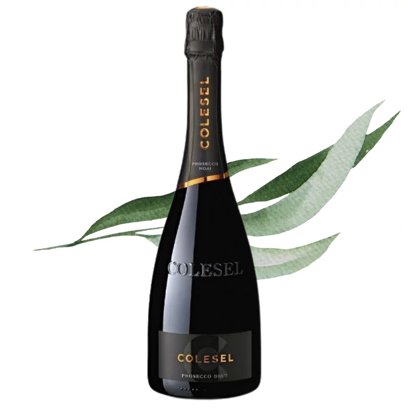 COLESEL - Noai Treviso Prosecco DOC Brut 0,75 l