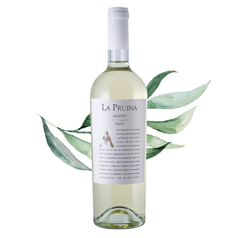 Fiano Salento