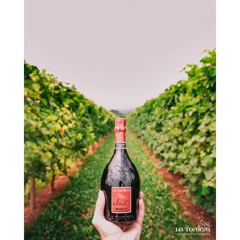 LA TORDERA - Alné Treviso Prosecco DOC Millesimato Extra Dry 0,75 l