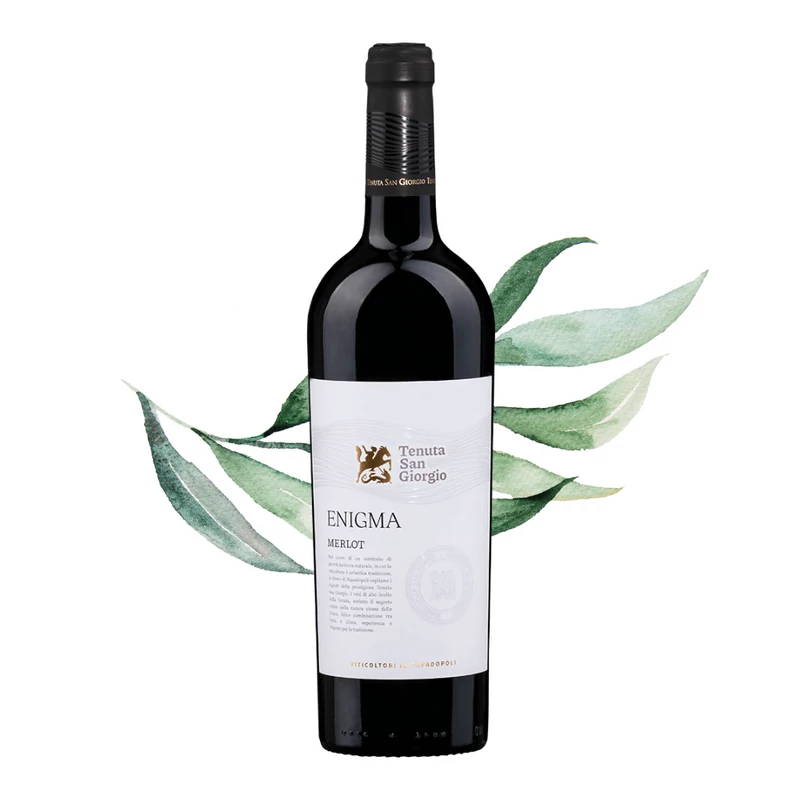 Tenuta San Giorgio - Enigma Merlot Venezia DOC