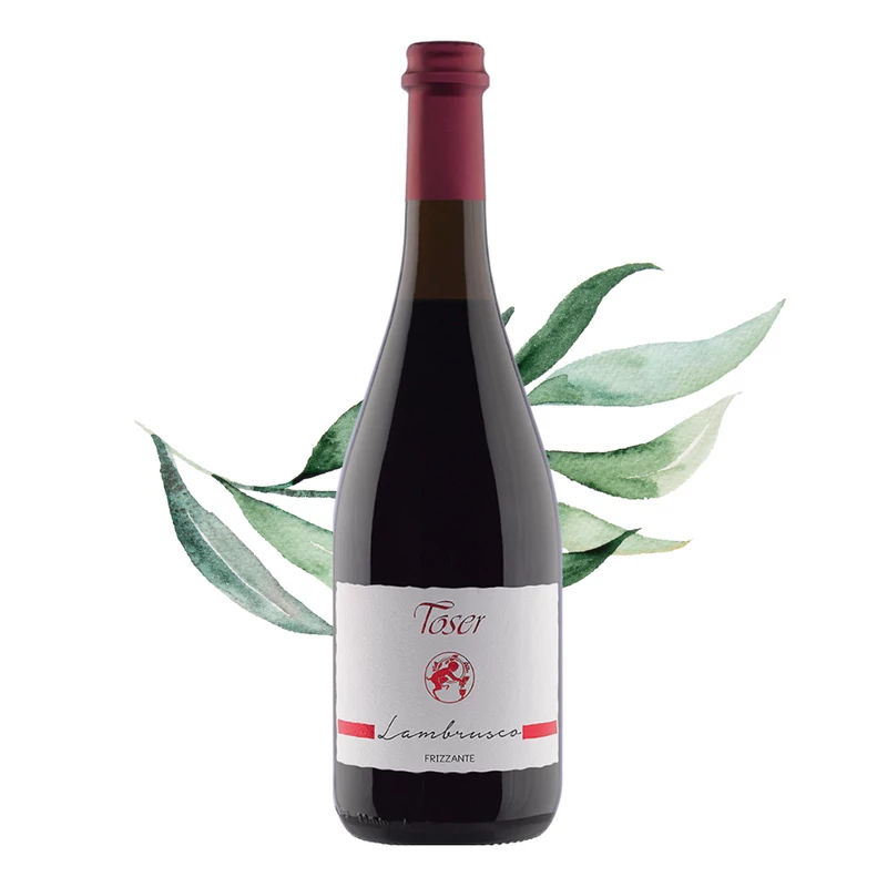 Toser Vini - Lambrusco frizzante