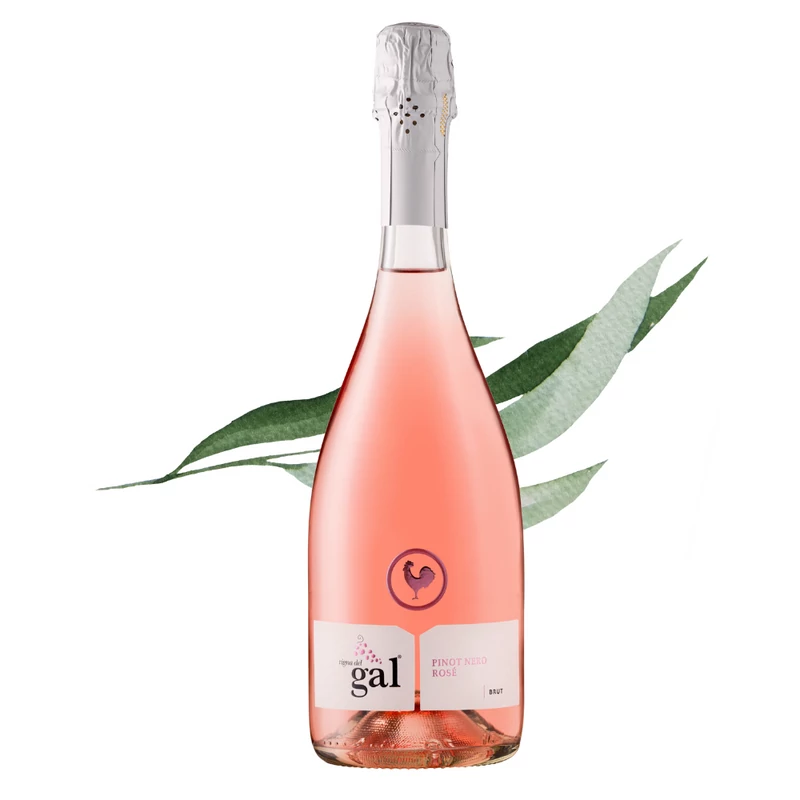 Vigna Del Gal - Pinot Nero Vino Spumante Rosé Brut