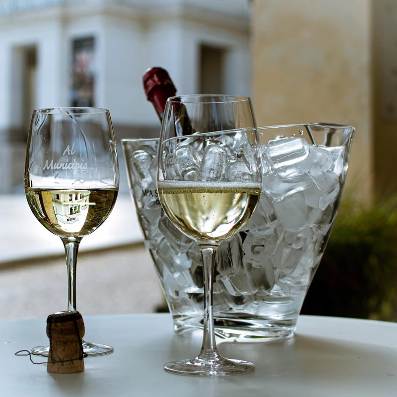 MASOTTINA - Pezsgő- és borhűtő / Ice bucket (akril) - átlátszó - kicsi